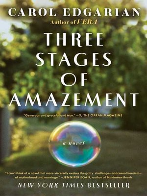 cover image of Three Stages of Amazement